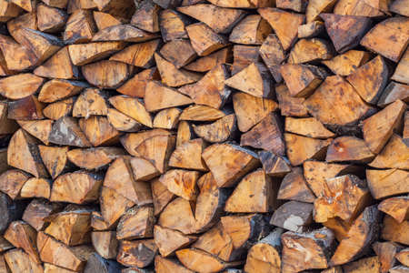 Preparation of firewood for the winter. firewood background, Stacks of firewood in the forest. Pile of firewood.の写真素材