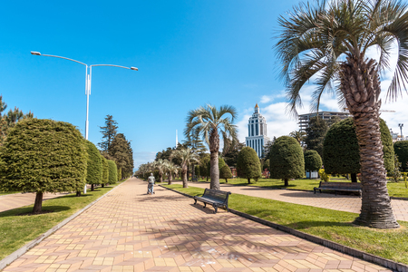 Park with palm trees at promenade of Batumi, Georgia.の写真素材