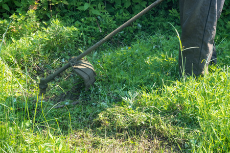 The gardener cutting grass by lawn mower.