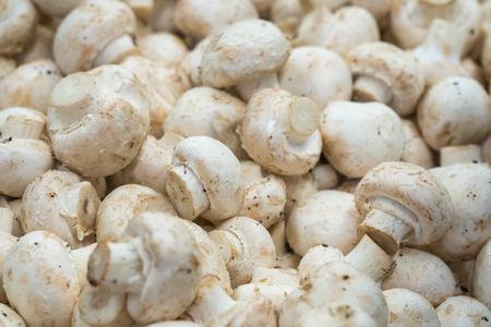 Fresh white button mushrooms on the farmers' market.の写真素材