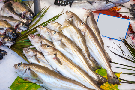 Fresh fish on ice in fish market.