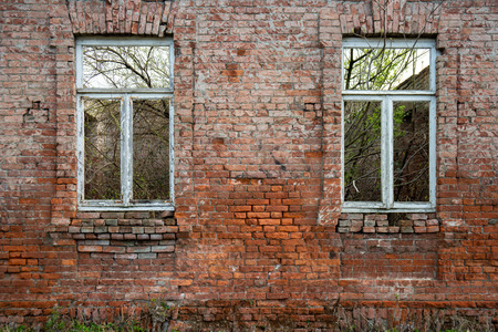 old brick wall with an old windows and growths, ruined houseの写真素材