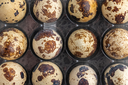 Quail eggs in plastic box, Quail eggs background, food