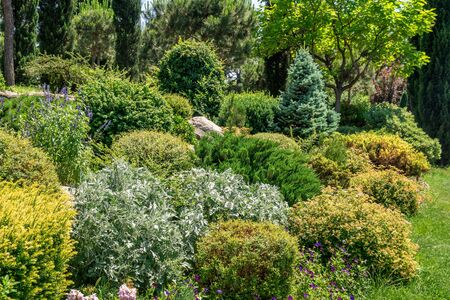 Recreation zone in the yard of Orthodox church of Sameba. Tbilisi, Georgia. Flora.の写真素材