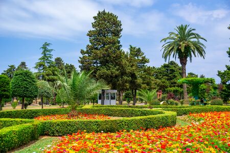 Colorful flowers in park in front of Batumi State University, Georgia. Nature.の写真素材