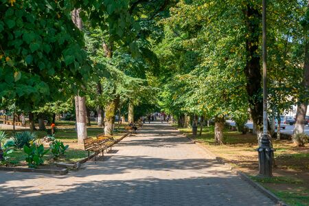 Beautiful view of pedestrian path in Kutaisi central park, Georgia. Recreation.の写真素材