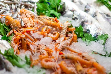 Verious fresh sea products in the market. Fish and other marine products on the ice. Food.の写真素材