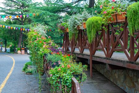 Flowers in Mtatsminda Park or Bombora Park on Mtatsminda mountain. Travel.の写真素材