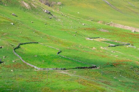 Overview of graze field and green lanscape in Ushguli, Svaneti, Georgia. Nature.の写真素材