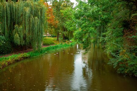 City park, trees reflection on the pond water, autumn. Eindhoven, Netherlands. Landscape.の写真素材