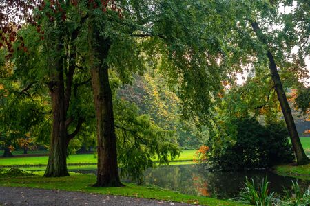 Beautiful autumn scene in Rotterdam city park, Netherlands. Landscapeの写真素材