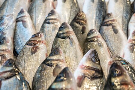 Raw of fresh fish at the seafood market. Food.