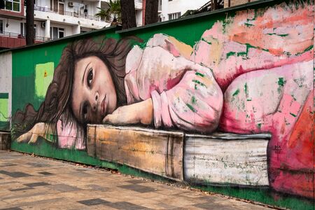 Tbilisi, Georgia - January 20, 2020: Painting on the wall on Chavchavadze Avenue. Streetartのeditorial素材