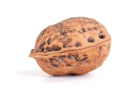 wild walnut isolated on a white background, food