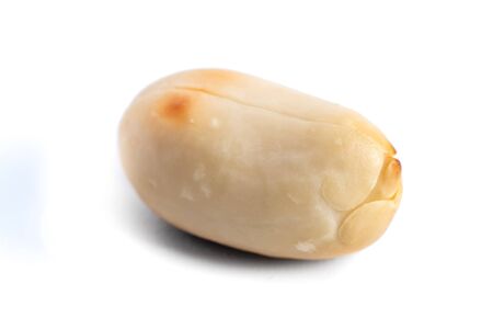 Roasted at home peanut isolated on white background, foodの写真素材