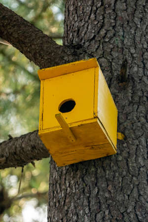 Wooden birdhouse on a tree in the park, animal lifeの写真素材