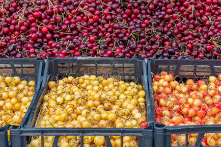 Fresh and tasty natural cherries in a market stall, fruit
