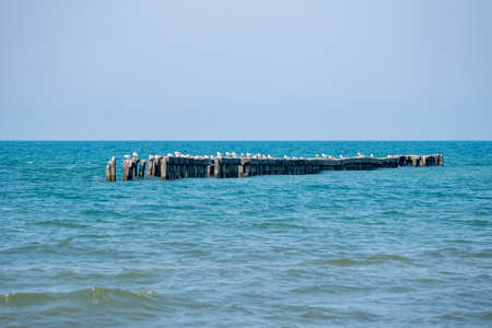 Landscape of sea, seagulls on a concrete Breakwater. Black Sea, Poti. Landscapeの写真素材