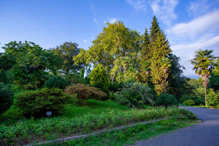 Beautiful view of Batumi Botanical Garden is located near Batumi, Adjara region of Georgia