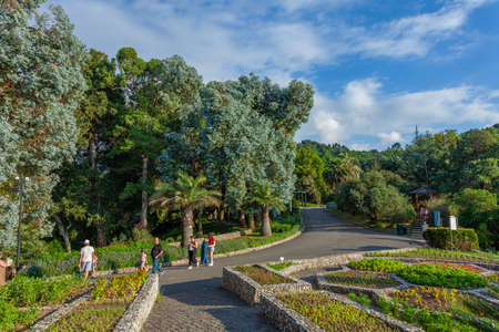 Batumi, Georgia - 08 August, 2020: Beautiful view of Batumi Botanical Garden is located near Batumi, Adjara region of Georgiaのeditorial素材
