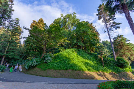 Batumi, Georgia - 08 August, 2020: Beautiful view of Batumi Botanical Garden is located near Batumi, Adjara region of Georgiaのeditorial素材