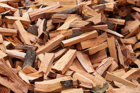 Preparation of firewood for the winter. firewood background, Stacks of firewood in the forest. Pile...