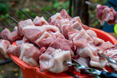 Georgian mtsvadi (Shashlik) preparation. Smoking shashlik on the grill. BBQ on Stick