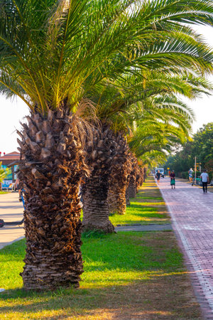 Batumi, Georgia - 30 August, 2022: Batumi seafront boulevardのeditorial素材