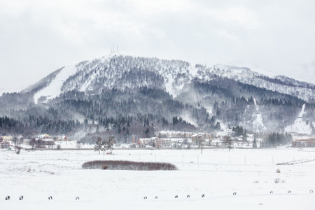 View of Bakuriani, winter resort in Georgia. Sports recreationの写真素材