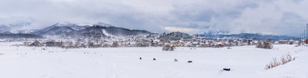 View of Bakuriani, winter resort in Georgia. Sports recreation. Panoramic viewの写真素材