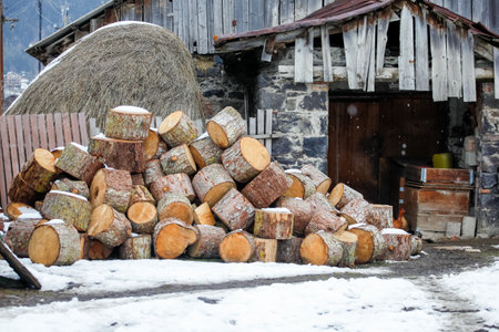 Preparation of firewood for the winter. firewood background, Stacks of firewoodの写真素材