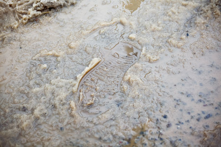 Melting snow on asphalt snow and dirt. environmentの写真素材