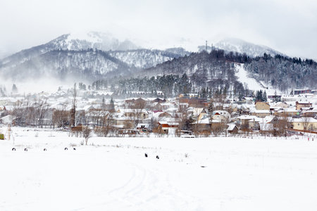 View of Bakuriani, winter resort in Georgia. Sports recreationの写真素材