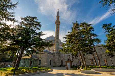Inner courtyard of the Beautiful Fatih camii is landmark of Istanbul. Travelの写真素材