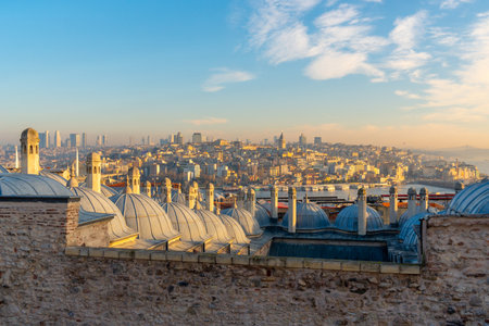 Beautiful view of Istanbul from the territory of Suleiman Mosque. Turkeyの写真素材