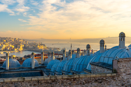 Beautiful view of Istanbul from the territory of Suleiman Mosque. Turkeyの写真素材