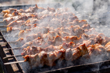 Traditional georgian mtsvadi, grill on the coals with smoke. Shashlikの写真素材