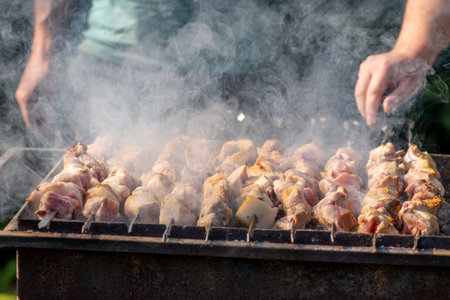 Traditional georgian mtsvadi, grill on the coals with smoke. Shashlikの写真素材