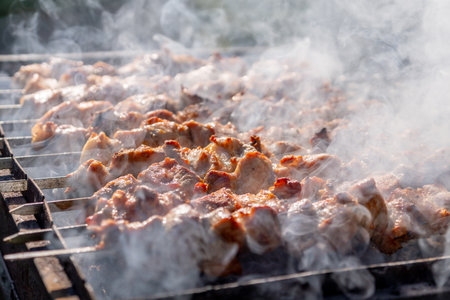 Traditional georgian mtsvadi, grill on the coals with smoke. Shashlikの写真素材