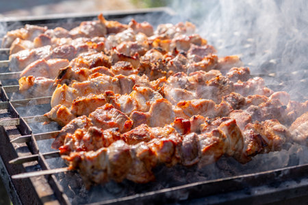 Traditional georgian mtsvadi, grill on the coals with smoke. Shashlikの写真素材