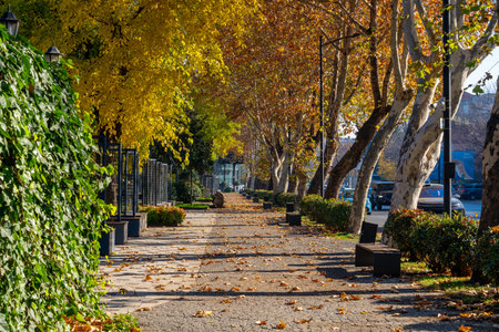 The beautiful landscape of autumn Tbilisi. Recreational park. Travel