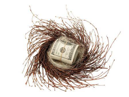 Nest eggの写真素材