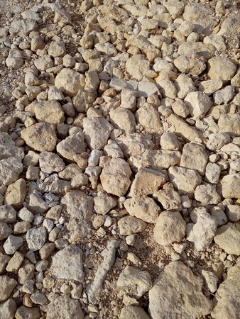 Background of natural stones (shell rock). The shore is covered with stone.