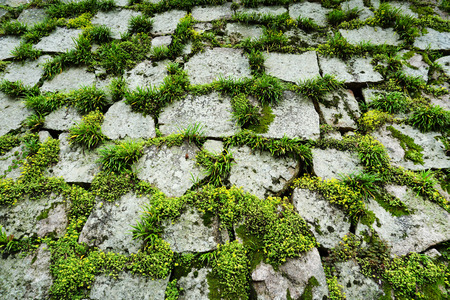 Stone wallの写真素材