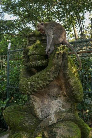 Portrait of a monkey sitting on a stone sculpture of a monkey at sacred monkey forest in Ubud,...