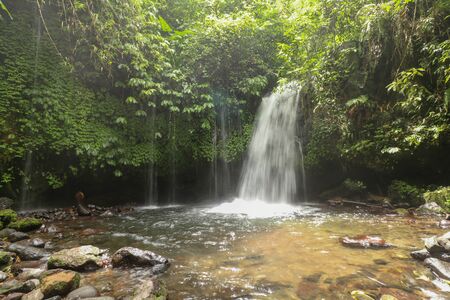 Yeh Ho Waterfall is located in the lush rice field-laden Penebel village in Tabanan. Waterfall near to Jatiluwih rice terrace in Bali, Indonesia. Beautiful waterfall in deep tropical jungle.の写真素材