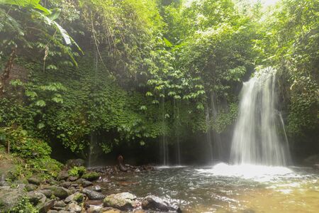 Yeh Ho Waterfall is located in the lush rice field-laden Penebel village in Tabanan. Waterfall near to Jatiluwih rice terrace in Bali, Indonesia. Beautiful waterfall in deep tropical jungle.の写真素材