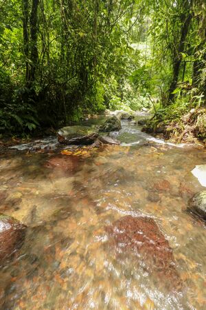 Rushing water flows through creek bed in rain forest. Water Flow Through large boulders and in Yeh Ho river. The water flows through the stones crevices.の写真素材