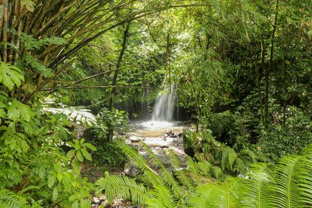 Yeh Ho Waterfall is located in the lush rice field-laden Penebel village in Tabanan. Waterfall near to Jatiluwih rice terrace in Bali, Indonesia. Beautiful waterfall in deep tropical jungle.の写真素材