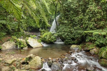 Yeh Ho Waterfall is located in the lush rice field-laden Penebel village in Tabanan. The stream of beautiful waterfall in the jungle in Jatiluwih area, Bali, Indonesia.の写真素材